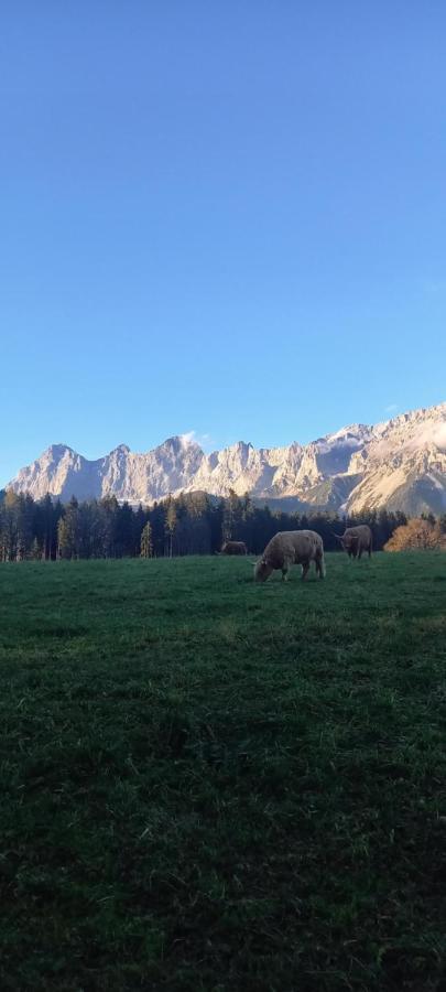 Landhaus-Koenigsberg, Vorberg 360 Ebenguetlweg รัมเซา อัม ดาคชไตน์ ภายนอก รูปภาพ